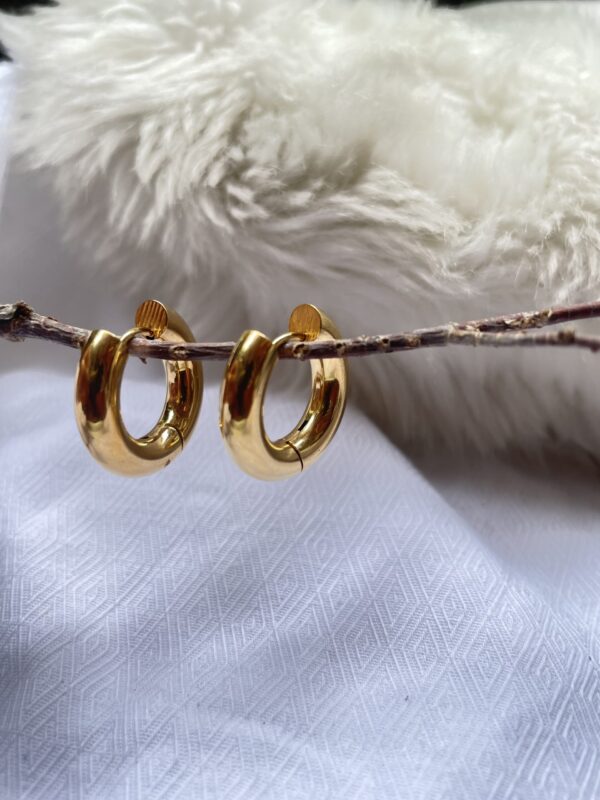 Mini hoops - Image 4
